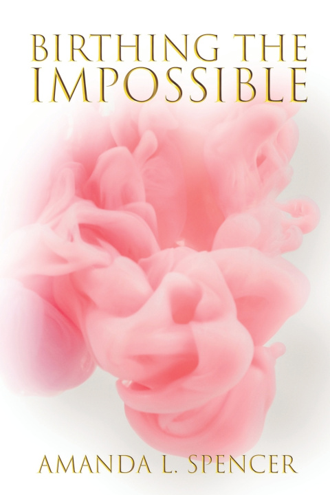 Kniha Birthing The Impossible Amanda Lyssy Spencer