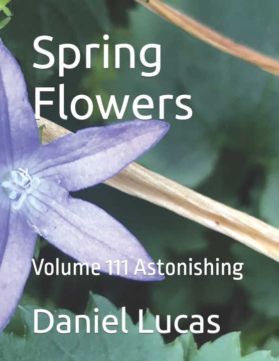 Knjiga Spring Flowers Daniel Lucas
