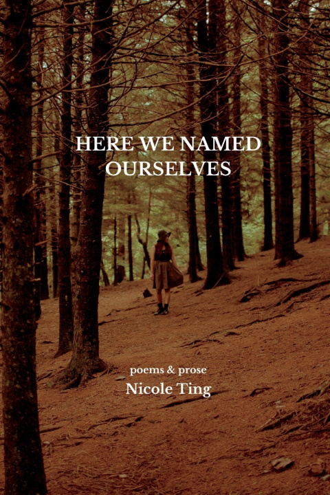 Knjiga Here We Named Ourselves Nicole Ting