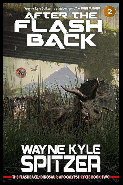 Kniha After the Flashback Wayne Kyle Spitzer