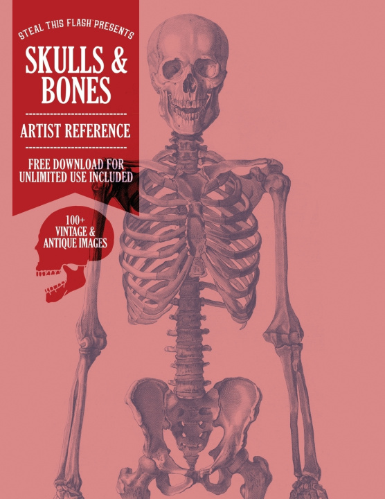 Kniha Skulls & Bones CJ Hughes