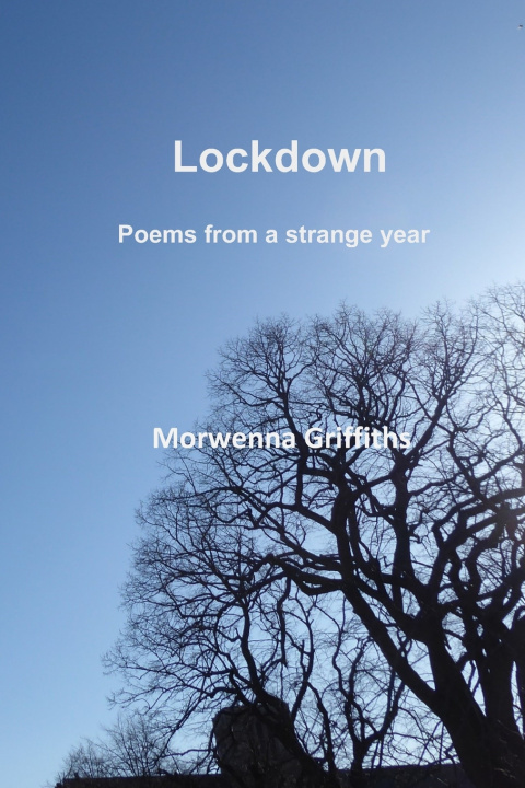 Kniha Lockdown Morwenna Griffiths