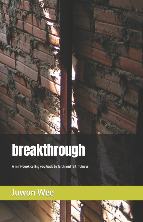 Kniha breakthrough Juwon Wee