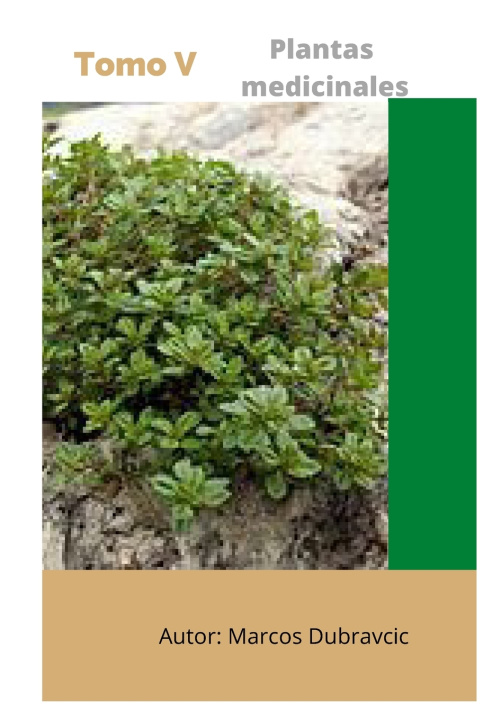 Könyv Plantas medicinales Marcos Dubravcic
