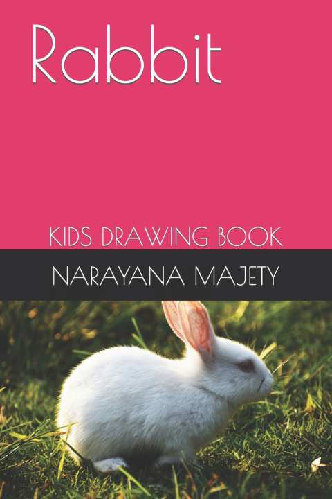 Kniha Rabbit NARAYANA SARMA MAJETY