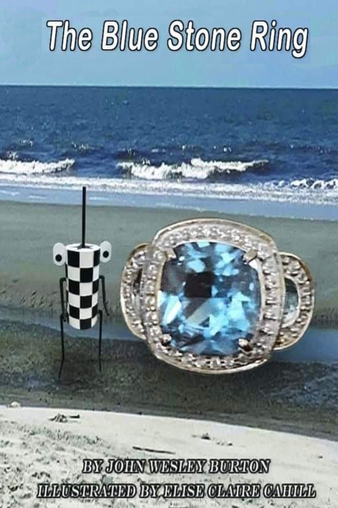 Kniha The Blue Stone Ring John W Burton