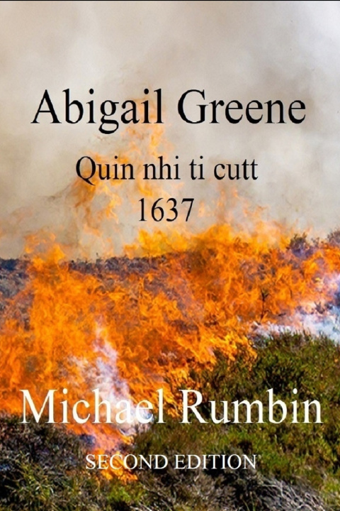 Kniha Abigail Greene Michael Rumbin