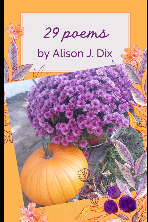 Kniha 29 Poems Alison J. Dix