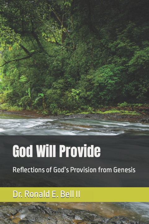 Kniha God Will Provide Ronald E. Bell II