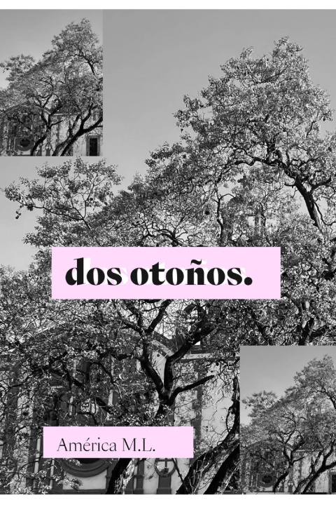 Kniha dos otoños. América Estefan Martínez López M.L.