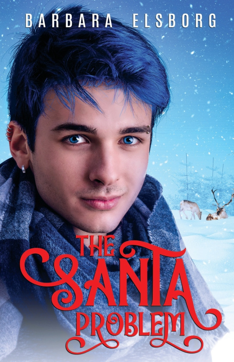 Kniha The Santa Problem Barbara Elsborg