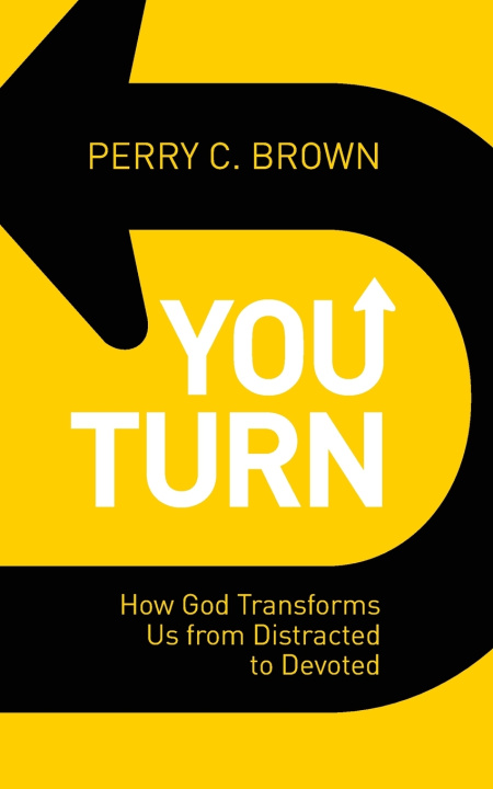 Kniha You Turn Perry C Brown