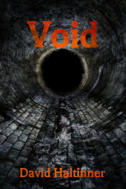 Knjiga Void David Haltinner