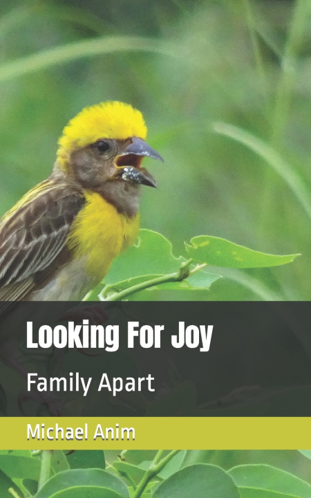 Kniha Looking For Joy Michael Amartey Anim