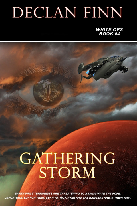 Kniha Gathering Storm Declan Finn