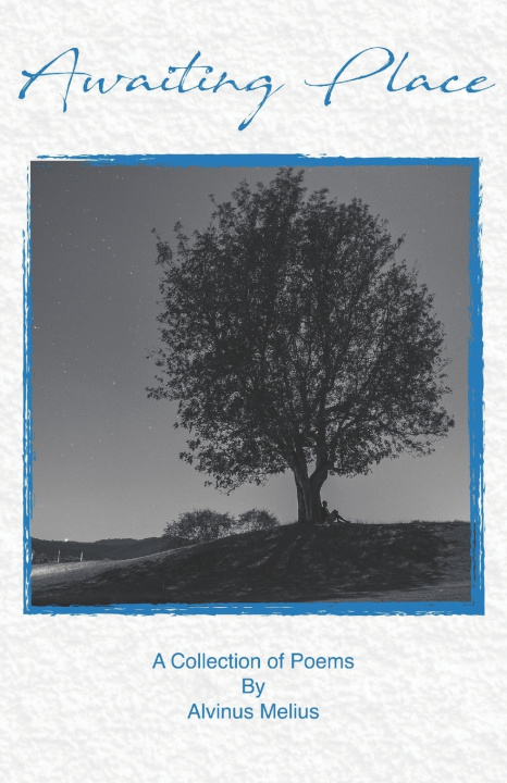 Libro Awaiting Place Alvinus Melius