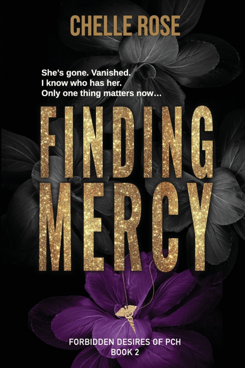 Kniha Finding Mercy Chelle Rose