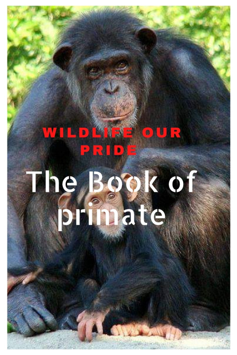 Knjiga Wildlife Our Pride Nazil Abbas