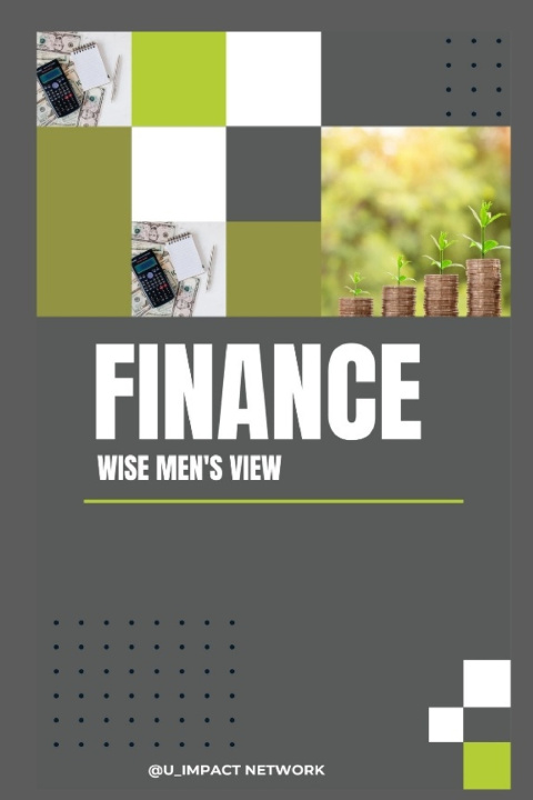 Kniha FINANCE; WISE MEN'S VIEW KELECHI OGBODO