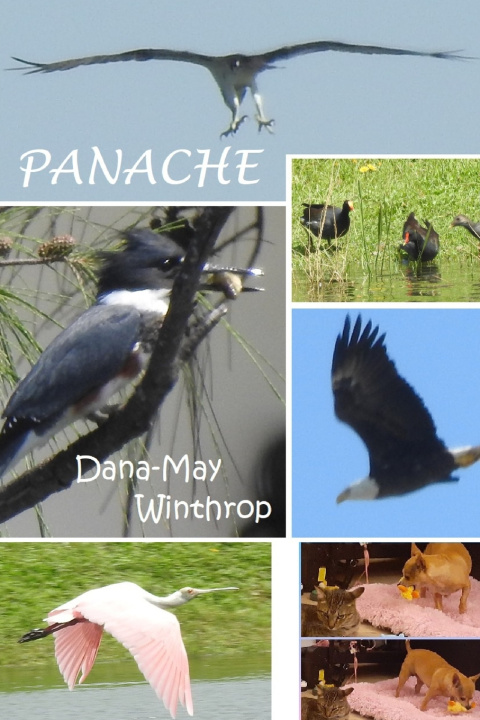 Kniha Panache Dana-May Winthrop