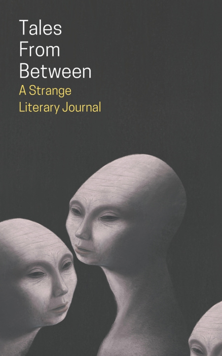 Knjiga Tales From Between Ivy Grimes