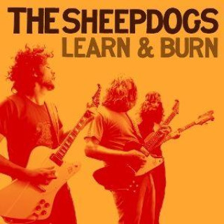 Audio Learn  Burn 