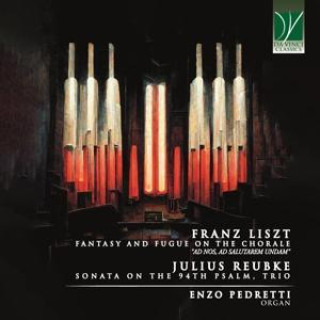 Audio 19th CENTURY ORGAN WORKS 