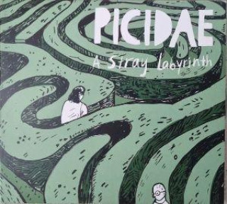 Audio A Stray Labyrinth 