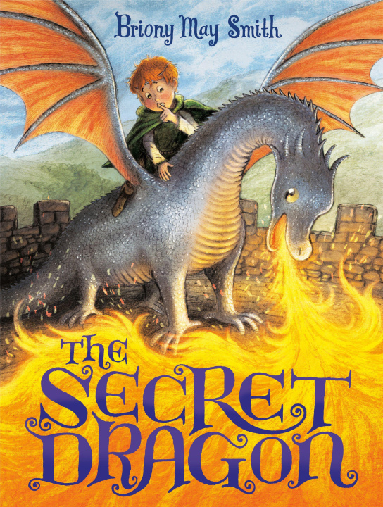 Buch The Secret Dragon Briony May Smith