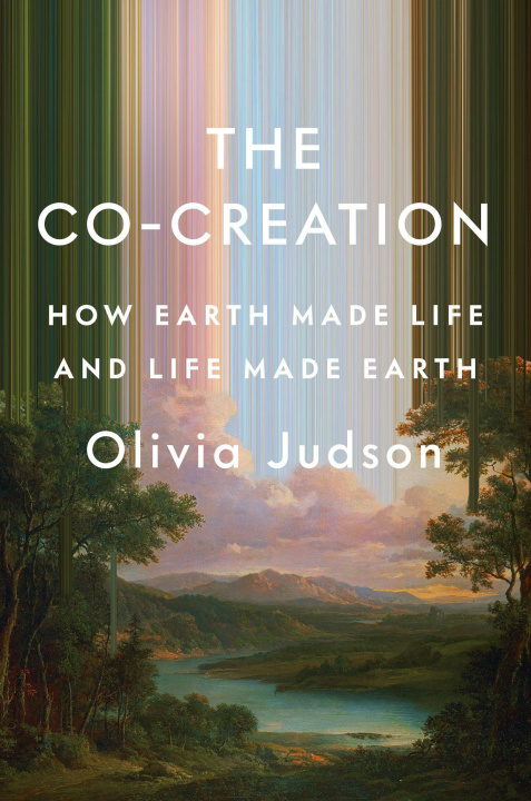 Knjiga The Co-Creation JUDSON