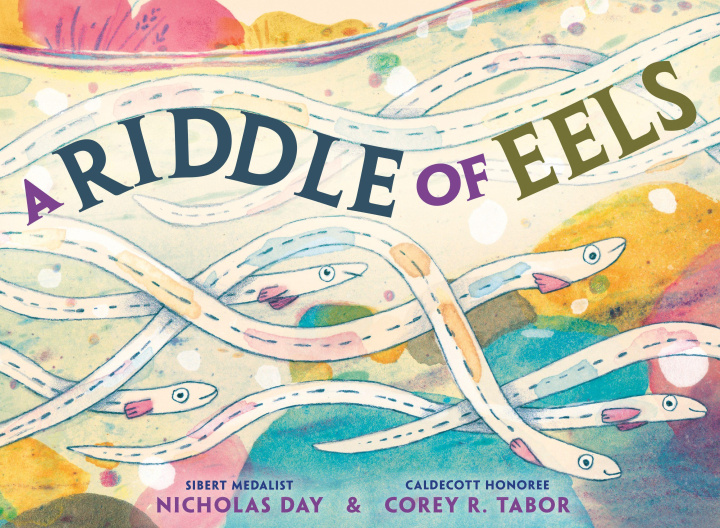 Knjiga A Riddle of Eels Corey R Tabor