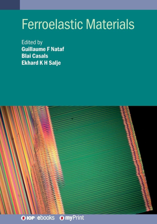 Kniha Ferroelastic Materials Ekhard K H Salje