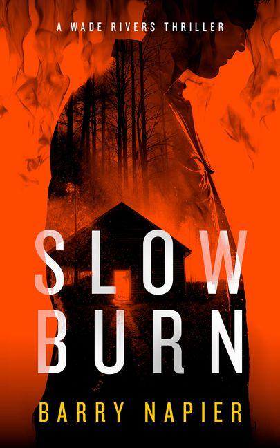 Kniha Slow Burn Barry Napier