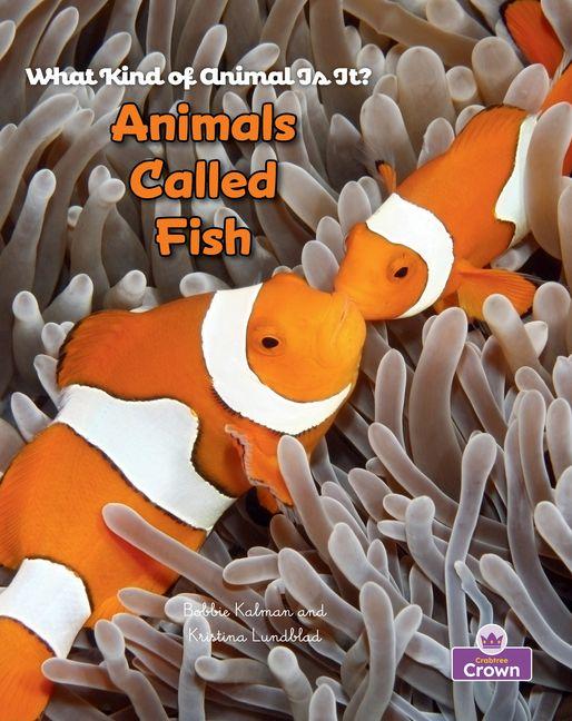 Book Animals Called Fish Kristina Lundblad
