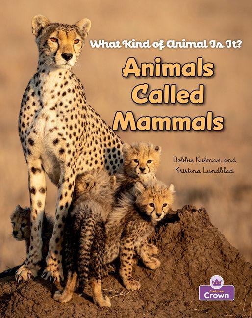 Knjiga Animals Called Mammals Bobbie Kalman