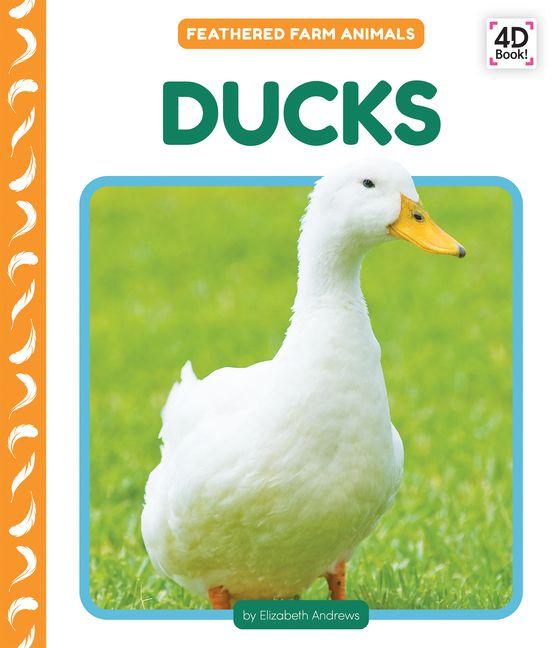 Kniha Ducks 