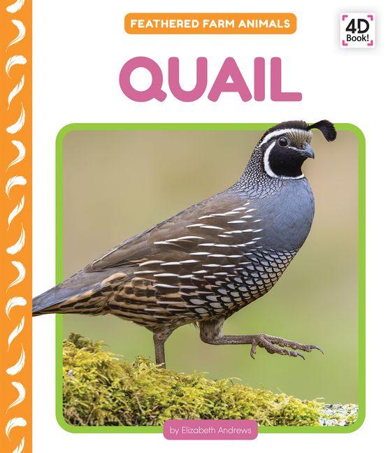Kniha Quail 