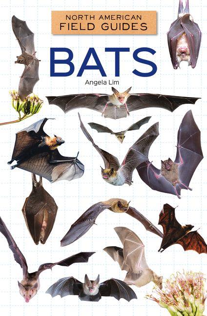 Kniha Bats 