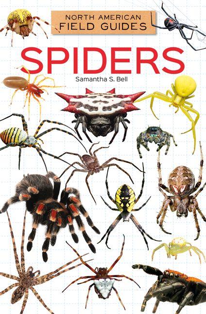Kniha Spiders 
