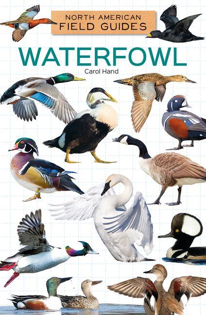 Book Waterfowl Carol Hand