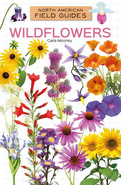 Kniha Wildflowers 