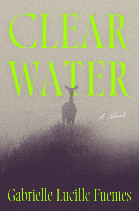 Buch Clear Water Gabrielle Lucille Fuentes