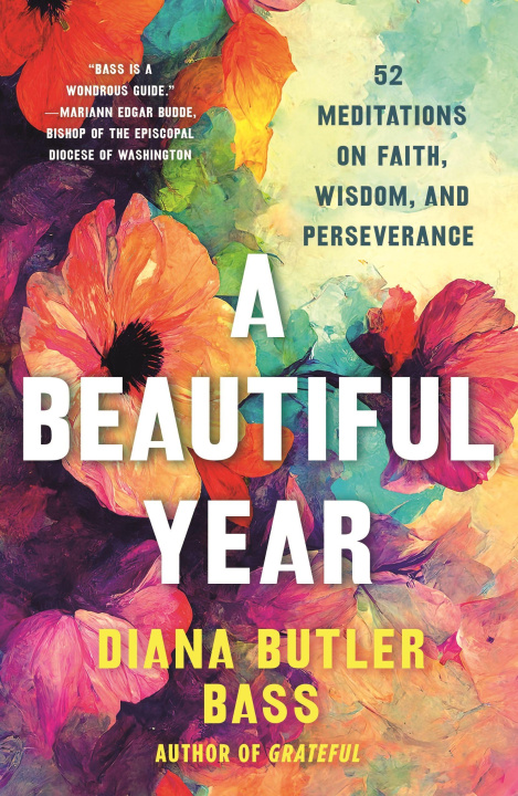 Kniha A Beautiful Year Diana Butler Bass