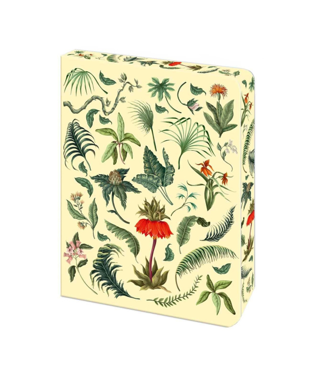 Kniha The Fern Journal ARCTURUS