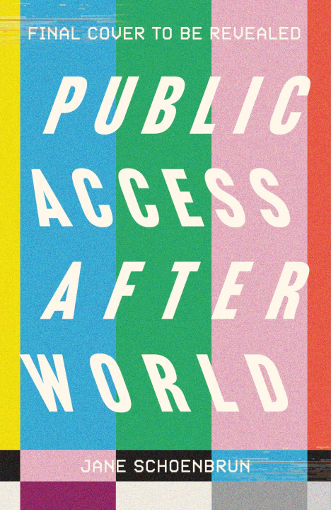Kniha Public Access Afterworld Jane Schoenbrun