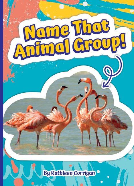 Kniha Name That Animal Group! 