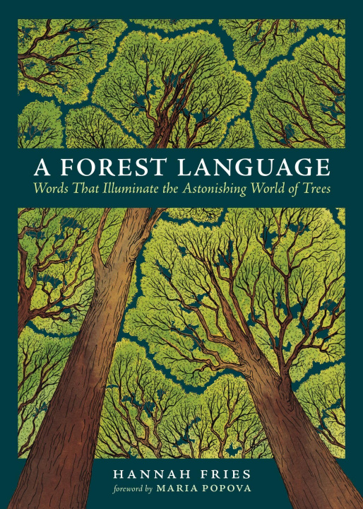Kniha A Forest Language Henrike Lendowski