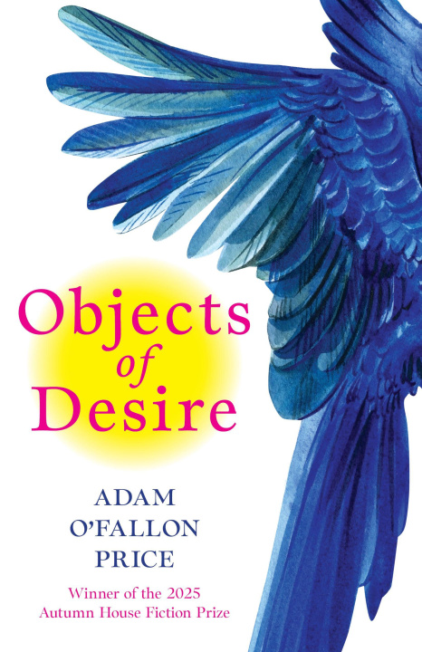 Knjiga Objects of Desire 
