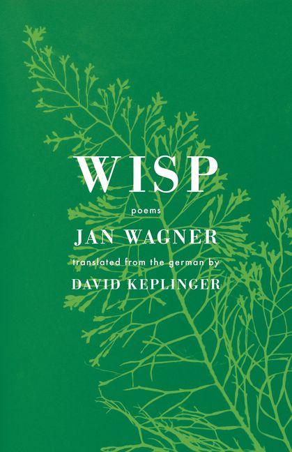 Kniha Wisp David Keplinger