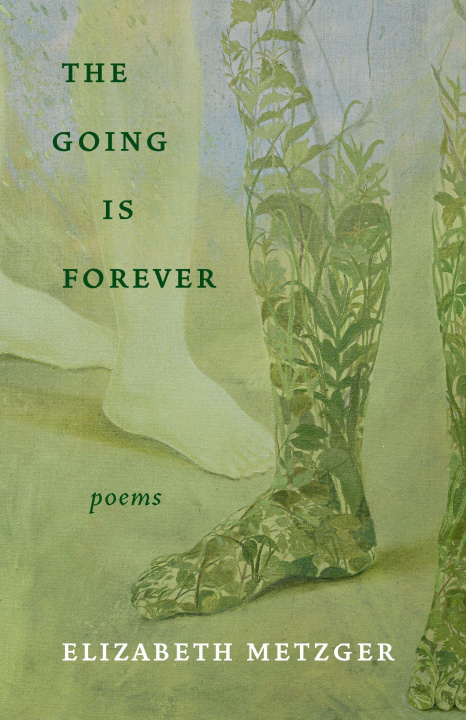 Книга The Going Is Forever Elizabeth Metzger
